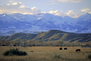Looking west towards the Rocky Mountains from Big Timber
