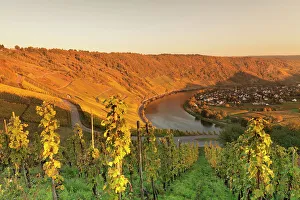 Sunlit Prints: Loop of Moselle River at sunset near the town of Kroev, Rhineland-Palatinate, Germany