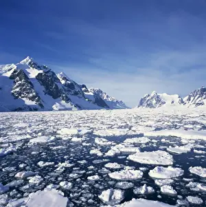 Pack Ice Prints: Loose pack ice in the sea, with the Antarctic Peninsula in the background