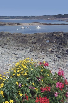 Cotes Darmor Prints: Loquemeau harbour, Cote de Granit Rose, Cotes d Armor, Brittany, France, Europe