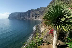 Images Dated 26th July 2008: Los Gigantes cliffs, Tenerife, Canary Islands, Spain
