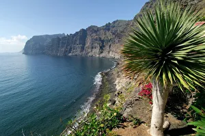 Images Dated 26th July 2008: Los Gigantes cliffs, Tenerife, Canary Islands, Spain
