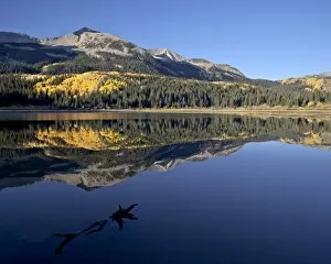 Images Dated 2nd October 2008: Lost Lake at dawn in the fall, Grand Mesa-Uncompahgre-Gunnison National Forest