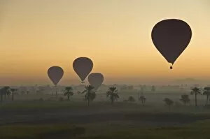 Images Dated 17th December 2008: Lots of hot air balloons flying over the desert at sunrise west of the river Nile near Luxor