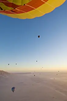 Liberty Prints: Lots of hot air balloons flying over the desert at sunrise west of the river Nile near Luxor