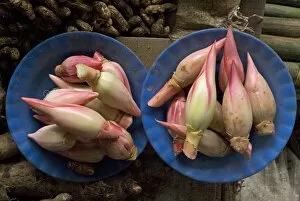 Images Dated 2nd January 2006: Lotus flower hearts in the vegetable market, Mulu, Sarawak, Malaysian Borneo