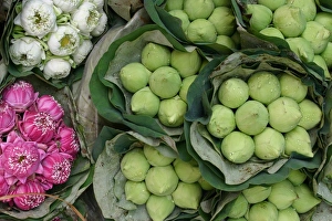 Bouquets Prints: Lotus flowers, Bangkok, Thailand, Southeast Asia, Asia