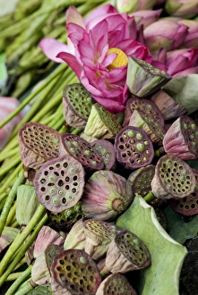 Flowering Prints: Lotus, street vendors produce, Dali, Yunnan, China, Asia
