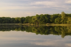 Lough Barry, Inishmore, Upper Lough Erne, County Fermanagh, Northern Ireland, United Kingdom