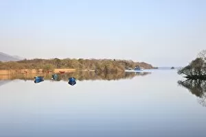 Images Dated 16th April 2010: Lough Leane, Ross Bay, Killarney National Park, County Kerry, Munster, Republic of Ireland