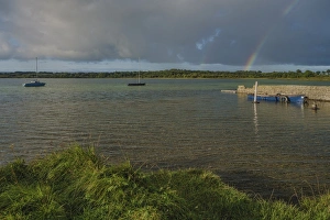 County Galway Prints: Loughrea, County Galway, Connacht, Republic of Ireland, Europe