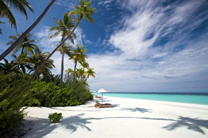 Sun Lounger Prints: Lounge chairs under shade of umbrella on tropical beach, Maldives, Indian Ocean, Asia