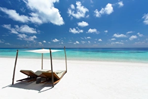 Lounge Chair Prints: Lounge chairs on tropical white sandy beach, The Maldives, Indian Ocean, Asia