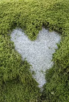 Love Gallery: Love Heart shape in moss on granite bolder