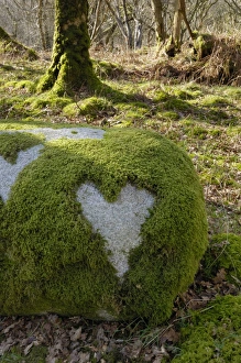 Over Grown Prints: Love Heart shape in moss on granite bolder, United Kingdom, Europe