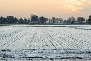 North Brabant Prints: Low sun over ploughed fields covered in snow