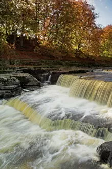 Stream Collection: Lower Aysgarth Falls and autumn colours near Hawes, Wensleydale, Yorkshire Dales National Park