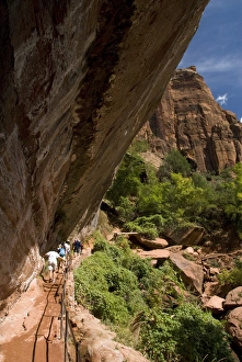 Sand Stone Prints: Lower Emerald Pool, Zion National Park, Utah, United States of America, North America