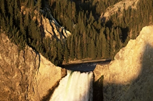 Lookout Prints: Top of the Lower Falls from Lookout Point at sunrise