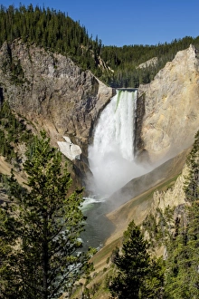 Lower Falls Prints: Lower Falls, Yellowstone National Park, UNESCO World Heritage Site, Wyoming, United