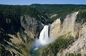 Ravine Prints: Lower Falls of Yellowstone River