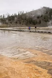 Images Dated 5th October 2007: Lower Geyser Basin, Yellowstone National Park, UNESCO World Heritage Site