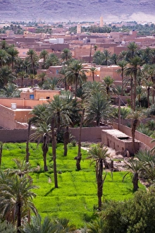 Oriental Region Prints: Lower level farming, date palm oasis, Figuig, province of Figuig, Oriental Region