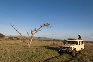 Bare Prints: Lualenyi Game Reserve, Kenya, East Africa, Africa