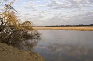 Luangwa River, South Luangwa National Park, Zambia, Africa
