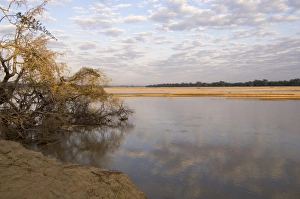 Images Dated 13th July 2007: Luangwa River, South Luangwa National Park, Zambia, Africa