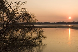 Images Dated 12th July 2007: Luangwa River, South Luangwa National Park, Zambia, Africa