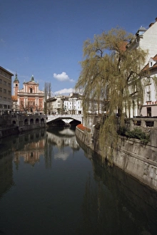 Ljubljana Prints: Lubiana (Ljubljana)