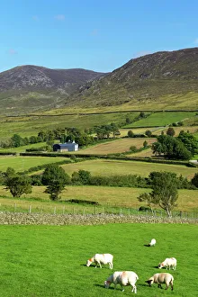 Rolling Landscape Prints: Lukes Mountain, Mourne Mountains
