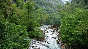 Flowing Prints: Lupshara river flows through a green valley surrounded by trees in Ritsa Relict National Park in Abkhazia