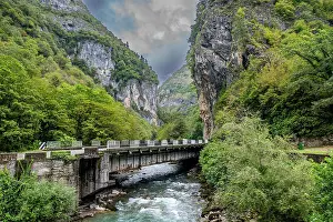 Fresh Prints: Lupshara River flows through Ritsa Relict National Park with a bridge spanning its banks in Abkhazia