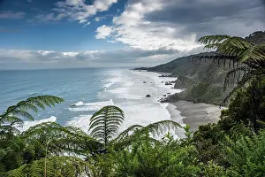Punakaiki Prints: Lush Ferns Framing Majestic Coastal Cliffs and Ocean Swells Near Punakaiki