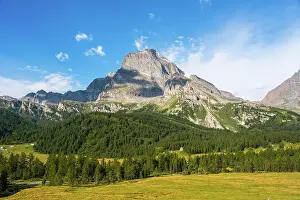 Lush green pine forests and meadows in front of the towering Monte Leone, rugged mountain, Italian Alps, Italy, Europe