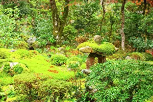 Aesthetics Prints: A lush moss garden with intricate landscaping and stone features