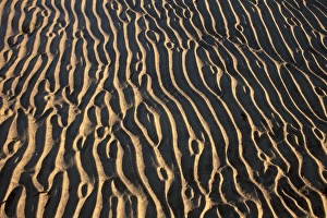 Luskentyre Bay