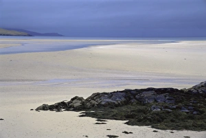 Harris Prints: Luskentyre Beach