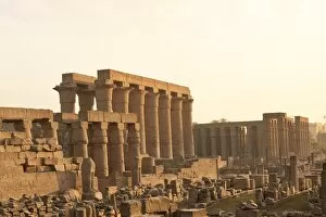 Images Dated 8th February 2009: Luxor Temple, Luxor, Thebes, UNESCO World Heritage Site, Egypt, North Africa, Africa