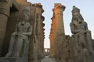 Images Dated 9th February 2008: Luxor Temple, Luxor, Thebes, UNESCO World Heritage Site, Egypt, North Africa, Africa