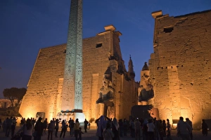 Images Dated 8th February 2009: Luxor Temple, Luxor, UNESCO World Heritage Site, Thebes, Egypt, North Africa, Africa