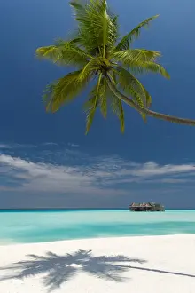 Maldives Prints: Luxury over-water bungalow at Gili Lankanfushi Resort Maldives and beach with palm trees