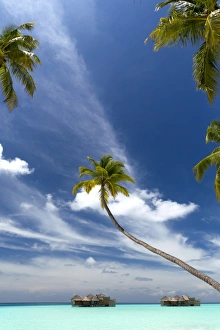 Stilt House Prints: Luxury resort in The Maldives, Indian Ocean, Asia