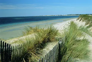 Fence Prints: Luzeronde beach and Pointe de l Herbaudiere, Noirmoutier-en-Ile, Island of Noirmoutier