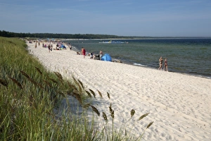 Baltic Coast Prints: Lyckesand beach backed by sand dunes