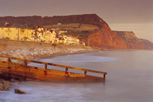 English Channel Prints: Lyme Bay, Sidmouth, Devon, England