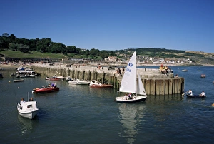 Lyme Regis Prints: Lyme Regis from Cobb Quay, Lyme Regis, Dorset, England, United Kingdom, Europe