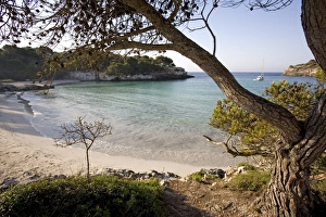 Macarella beach